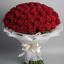 Букет 101 Красная роза Блэк Мэджик в Манушкино