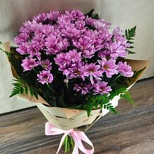 Букет цветов из:  Хризантемы #REPLACE_PRED# Манушкино