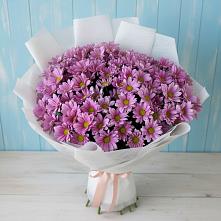 Букет цветов из:  Хризантемы в Манушкино