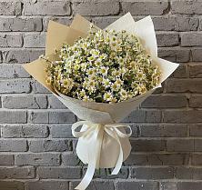 Букет цветов из:  Ромашки в Манушкино