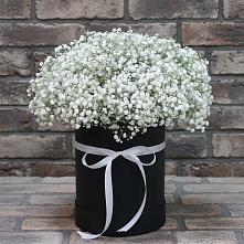 Цветочная композиция из Гипсофила в шляпной коробке в Манушкино