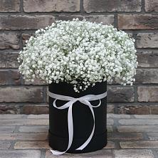 Цветочная композиция из Гипсофила в шляпной коробке в Манушкино
