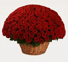 Премиум букет из: Розы в Манушкино